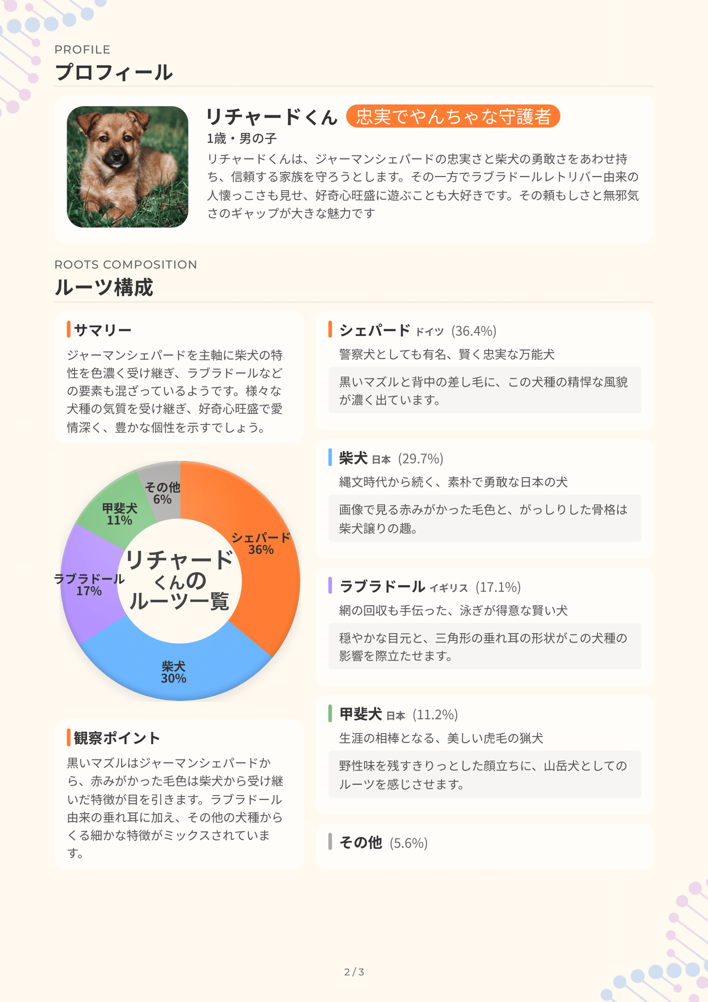 うちの子診断