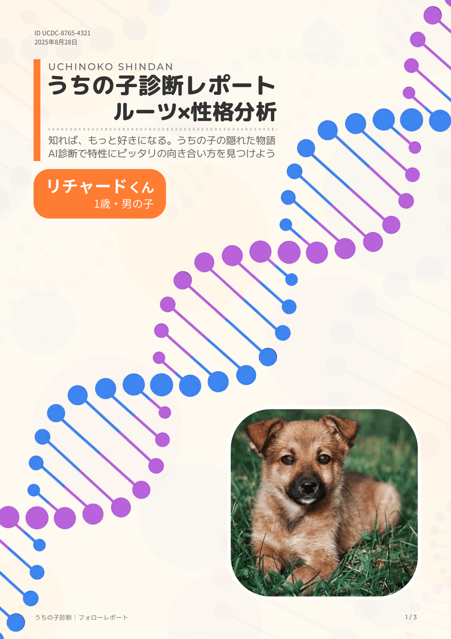 うちの子診断