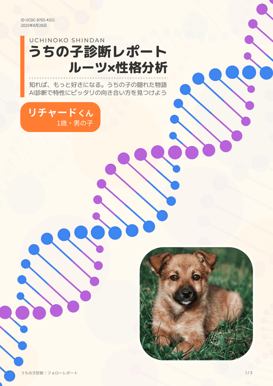 うちの子診断